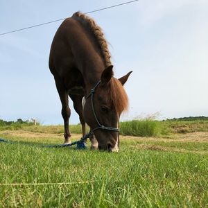 Meet your Posher, Danielle